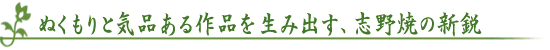 ぬくもりと気品ある作品を生み出す、志野焼の新鋭